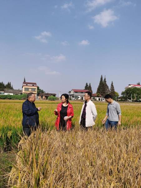 微信图片_20201024110507